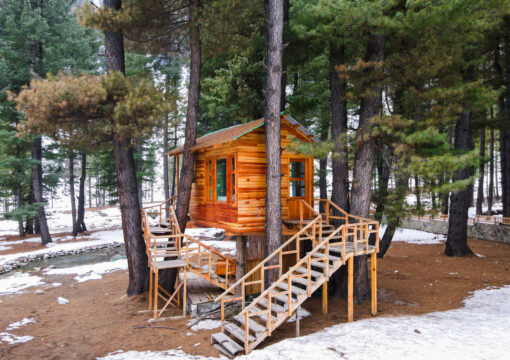 Tree House
