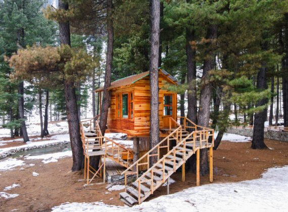 Tree House