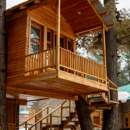 Tree House