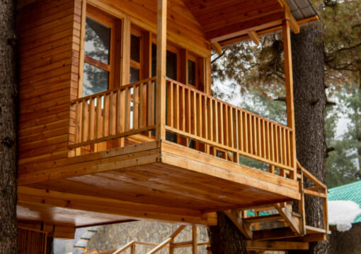 Tree House